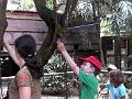 21a - Jardin Tropical 006